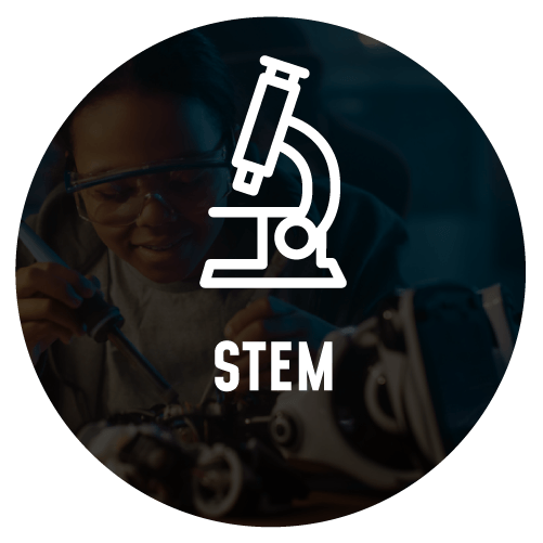 stem